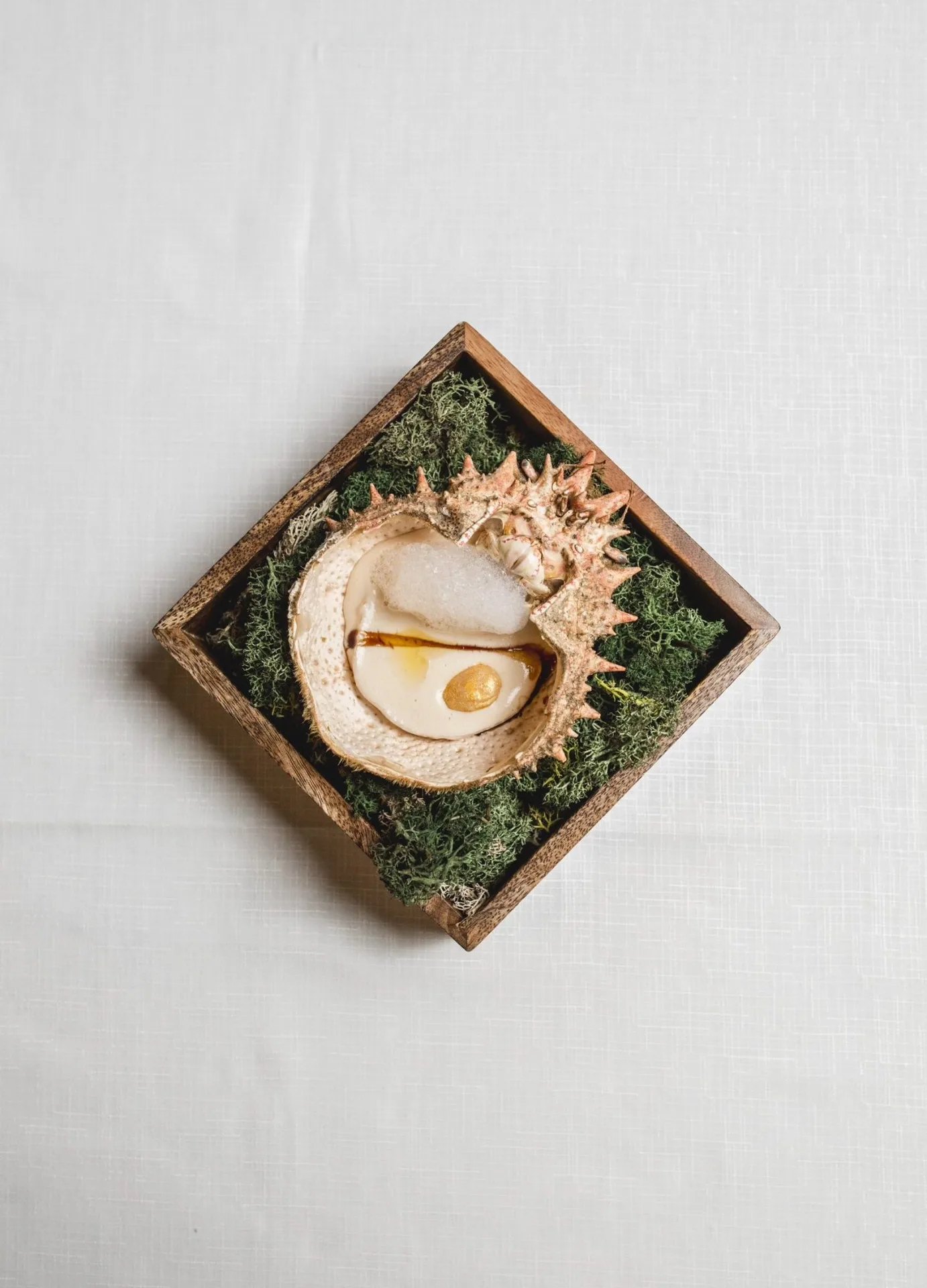Gala — photo 15