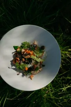 Restaurant Renilde — photo 12