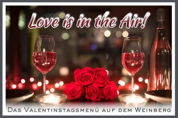 Restaurant Am Weinberg — photo 7