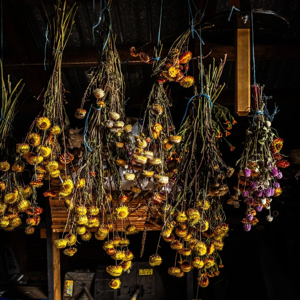 Restaurant Les Labours — photo 12
