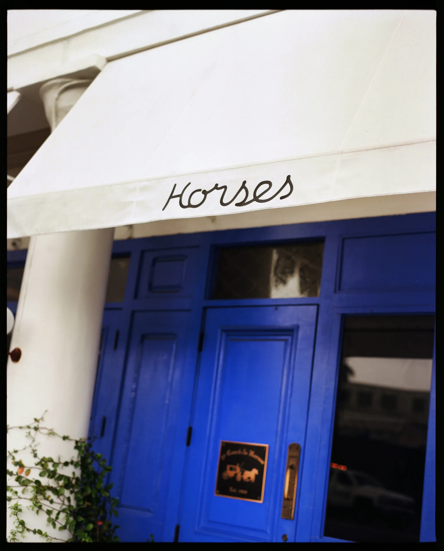 Horses — photo 11