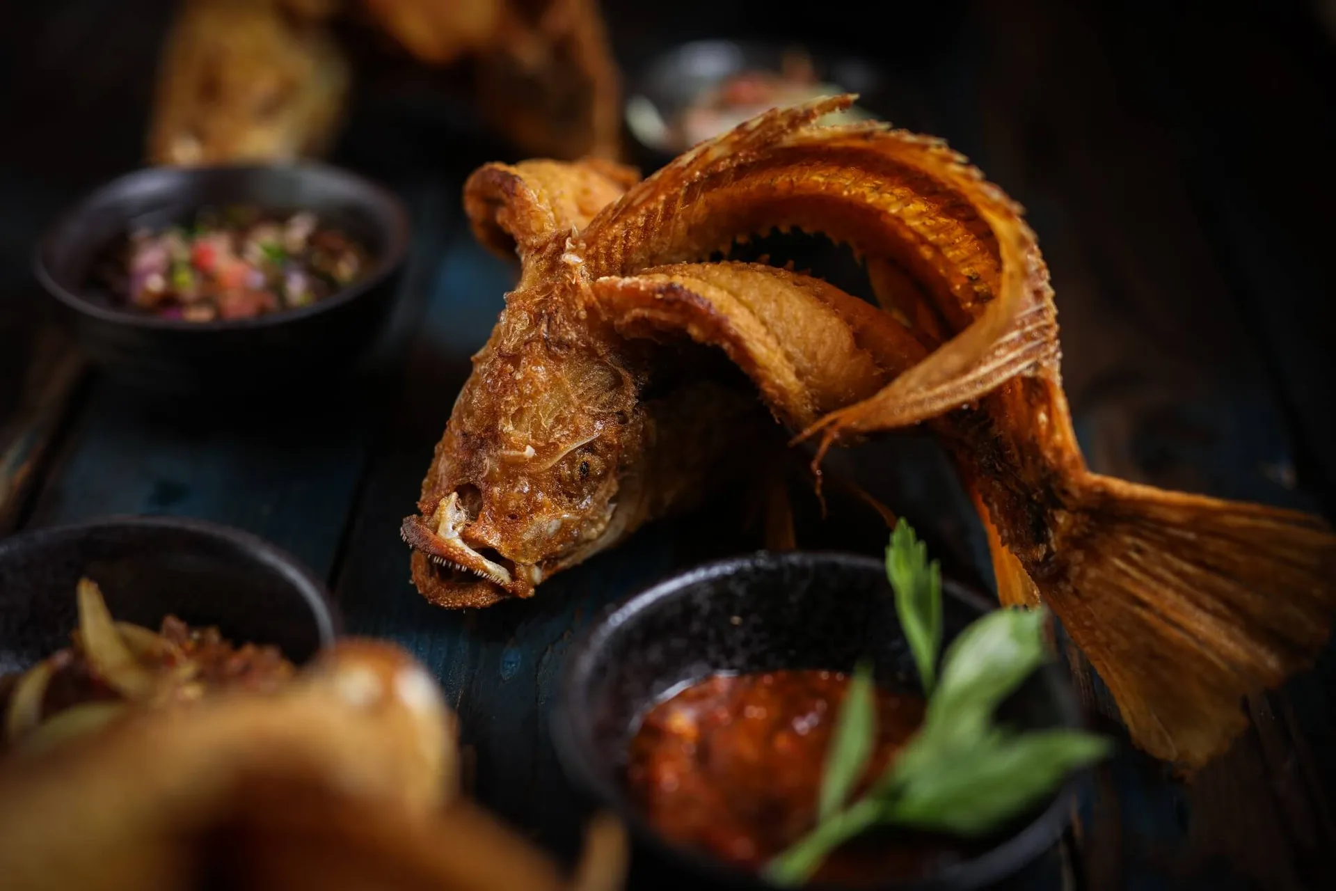 Dancing Fish, Kuala Lumpur