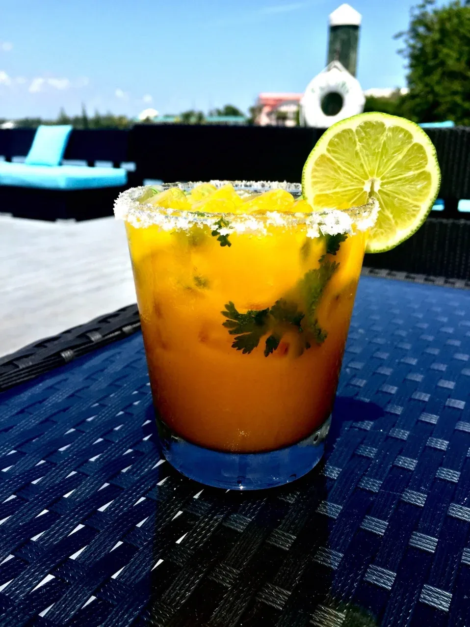 Flying Fish GastroBar — photo 41