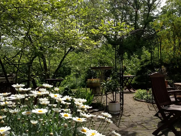 Waldrestaurant Zur Steinkiste — photo 35