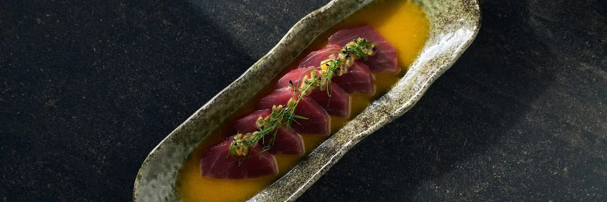 Toshi — photo 12