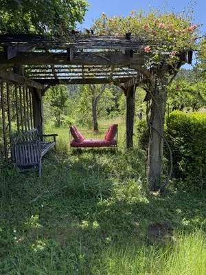 Barndiva — photo 50