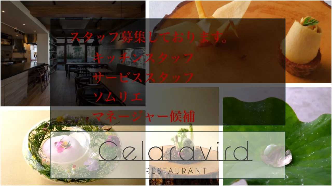 Celaravird, Tokyo