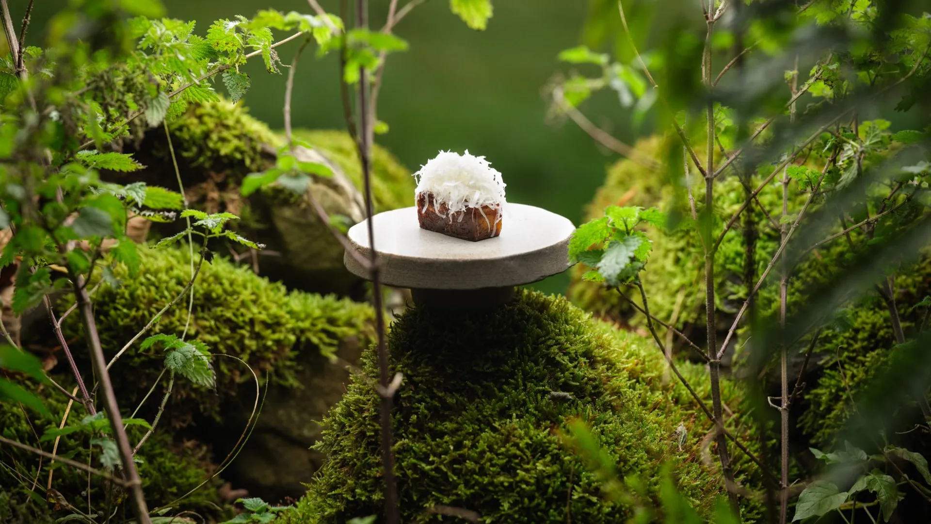 L'Enclume — photo 12