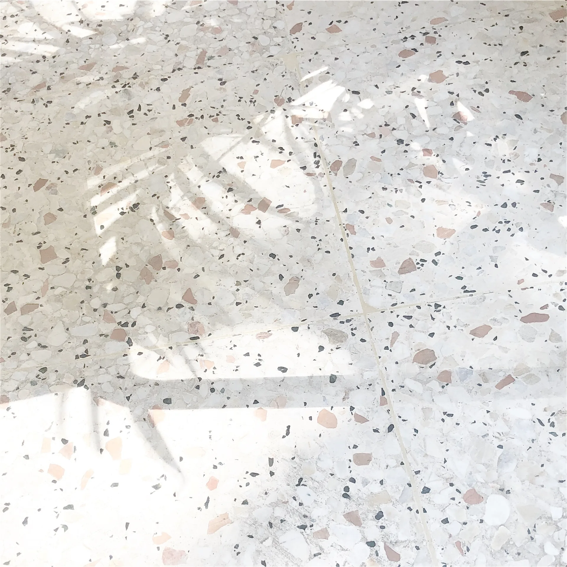 Bocca Nera — photo 25