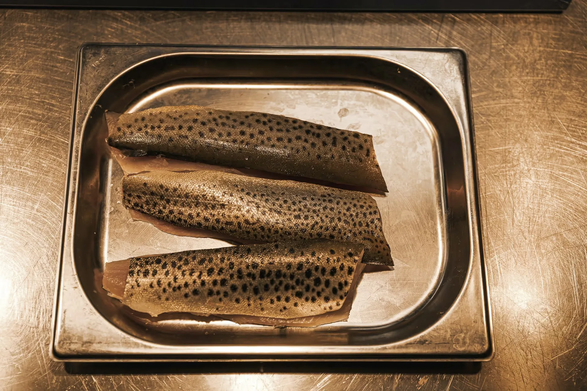 Vila Muhr Gourmet — photo 78