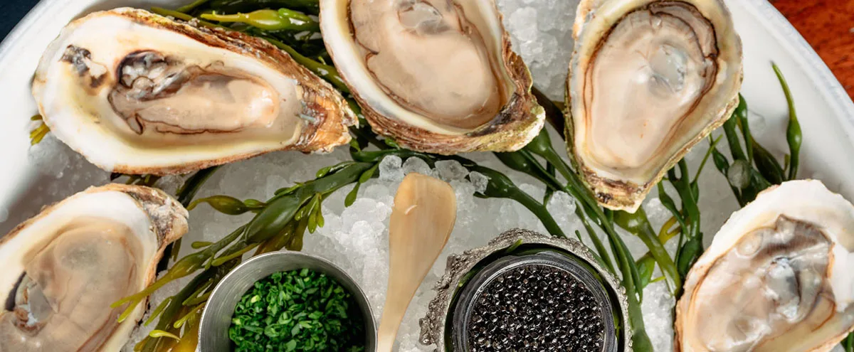 Little's Oyster Bar — photo 9