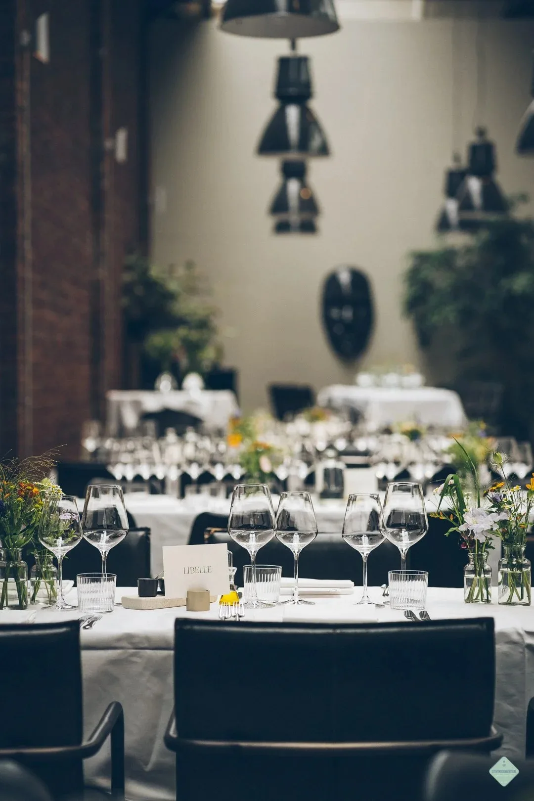 Jerom — photo 37