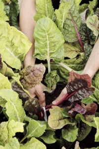 La Rei Natura — food