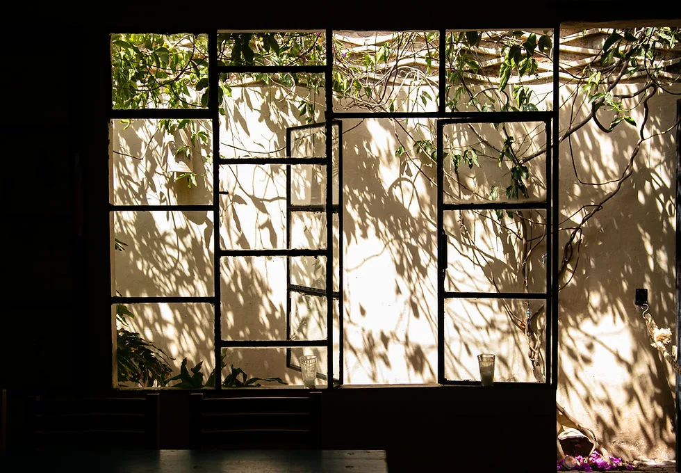 Adamá — photo 56