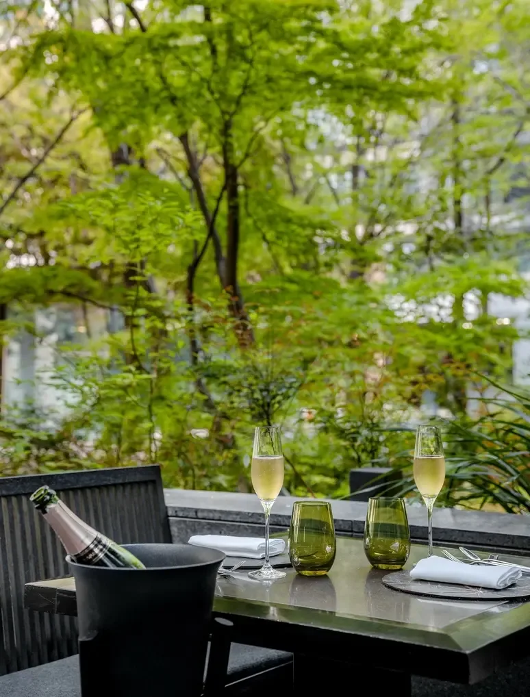 Arva — photo 24