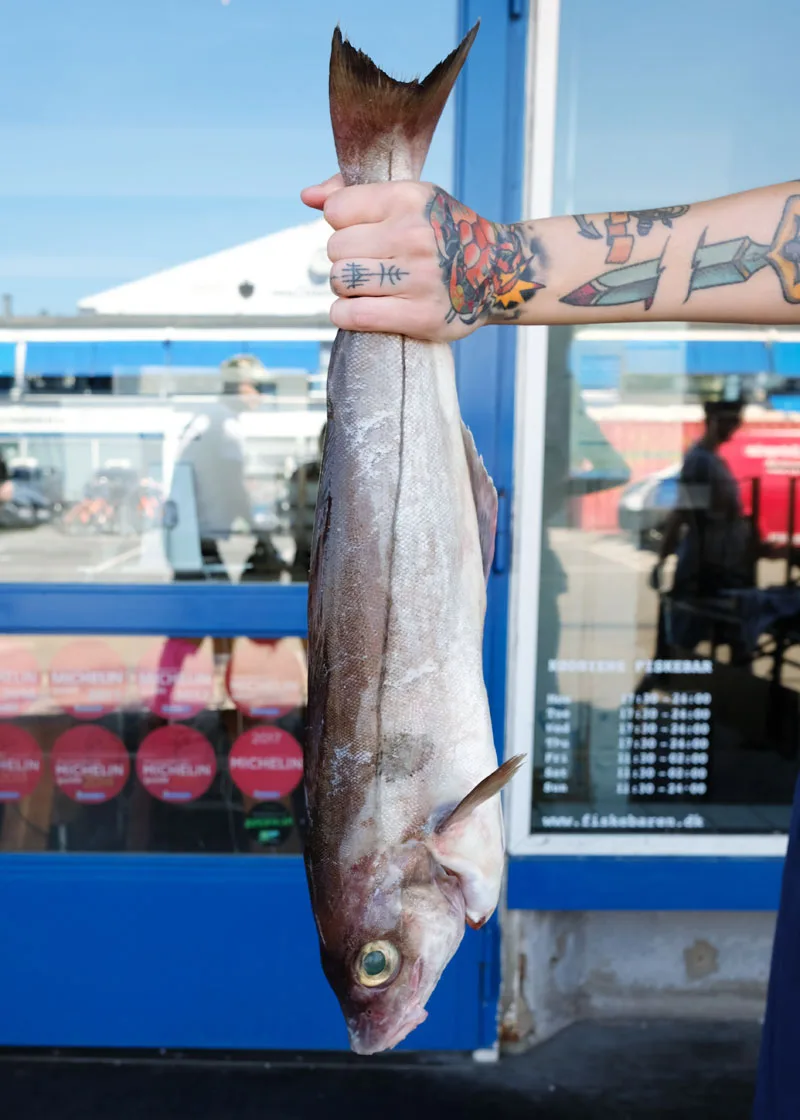 Kødbyens Fiskebar — photo 47
