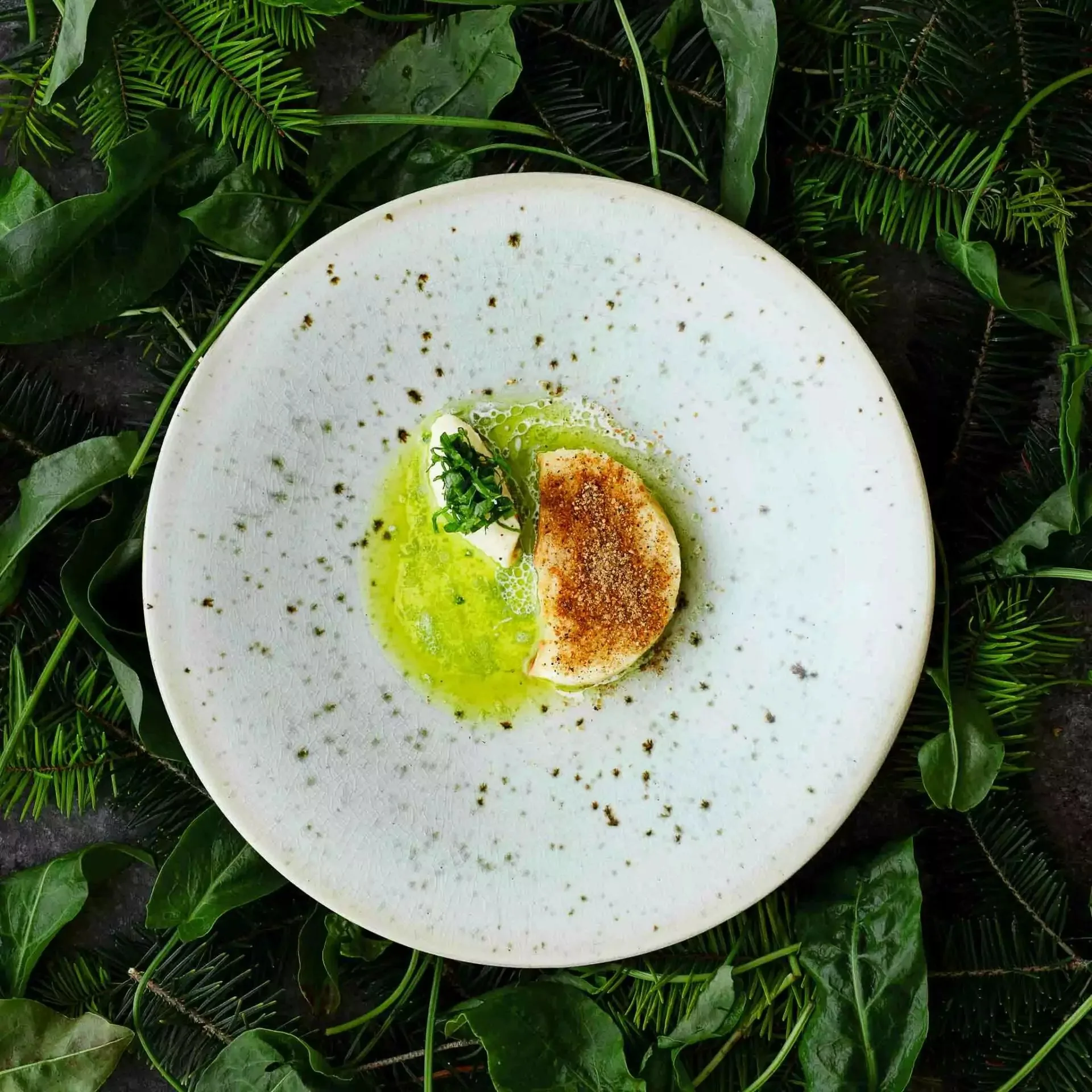 Robert Stolz eat.share.live — photo 96