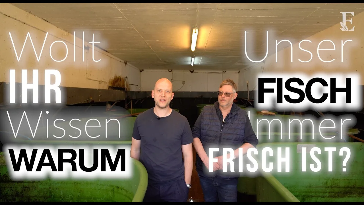 Restaurant Erasmus — photo 8