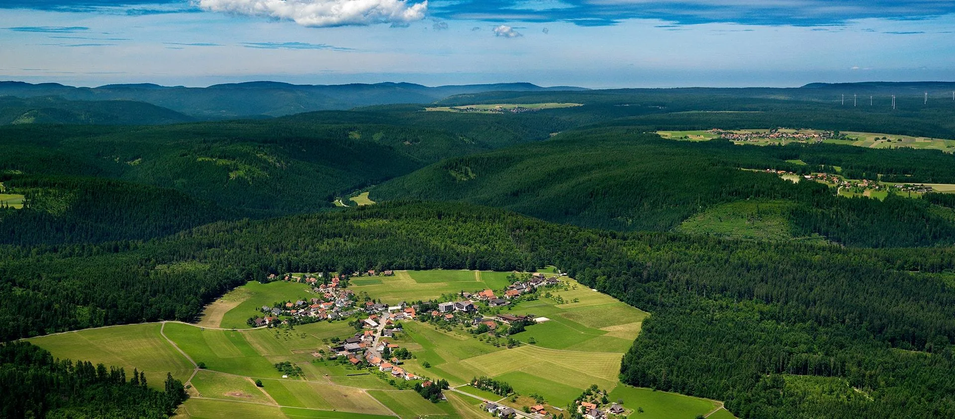 Schwanen Kälberbronn — photo 34