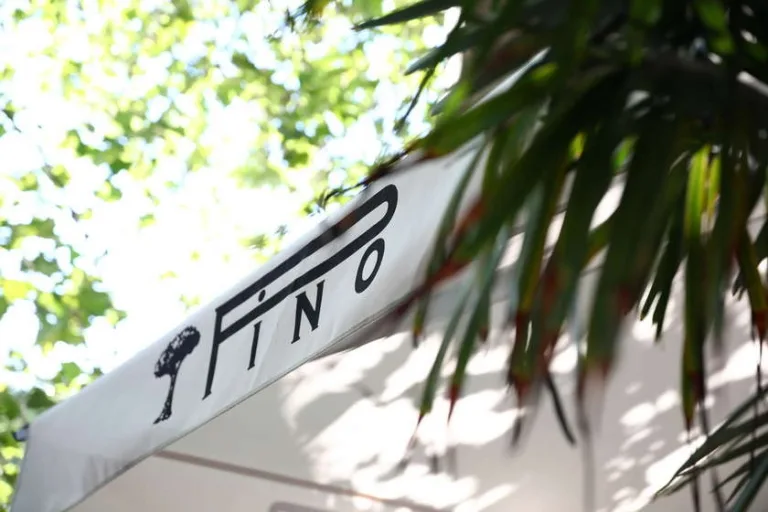 Pino — photo 29
