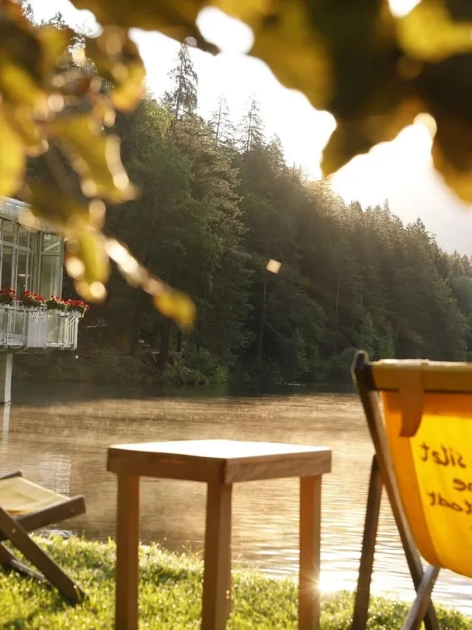 Genießer-Parkhotel Tristachersee — photo 23