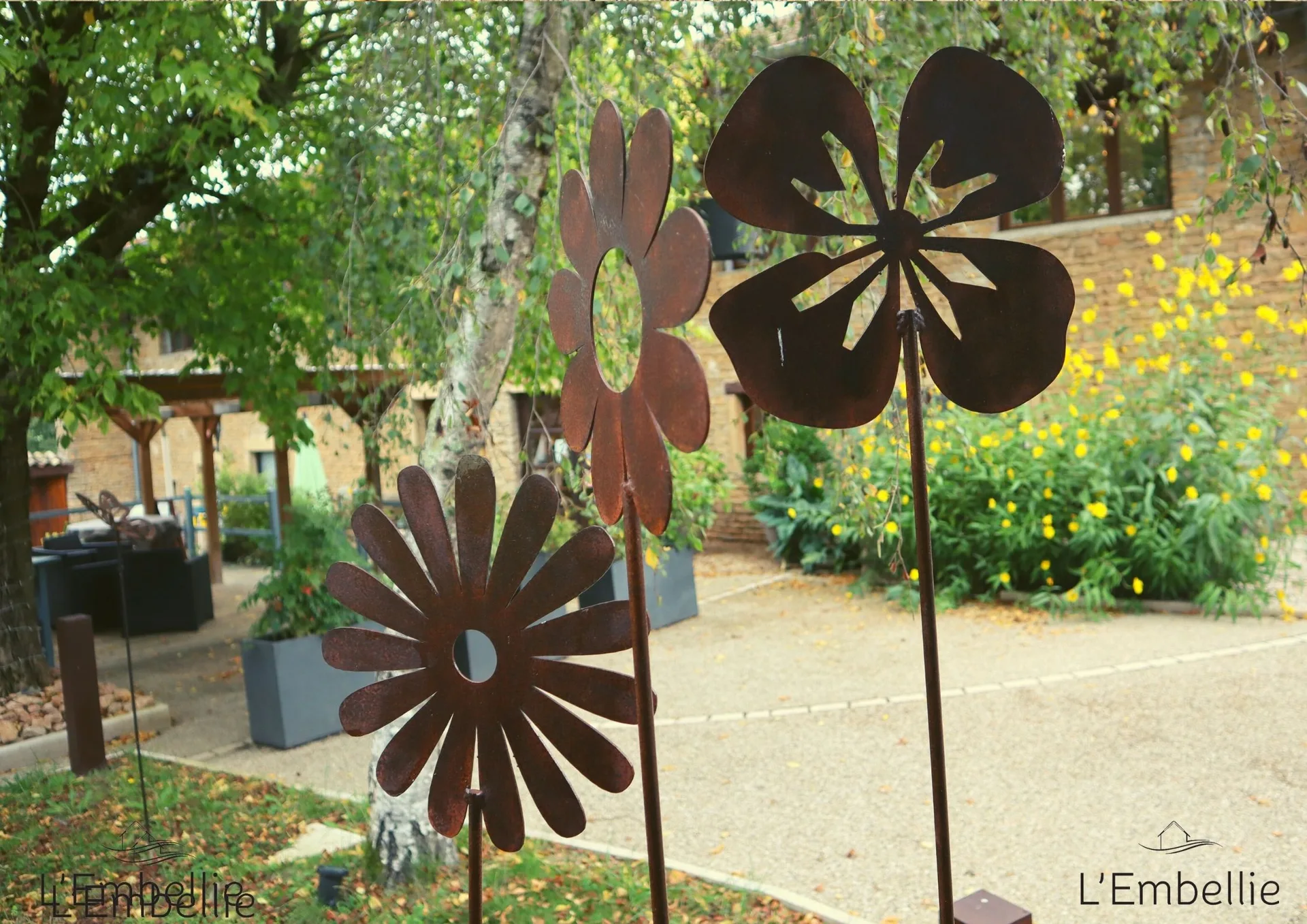 L'Embellie — photo 4
