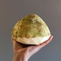 HYÈNE — food