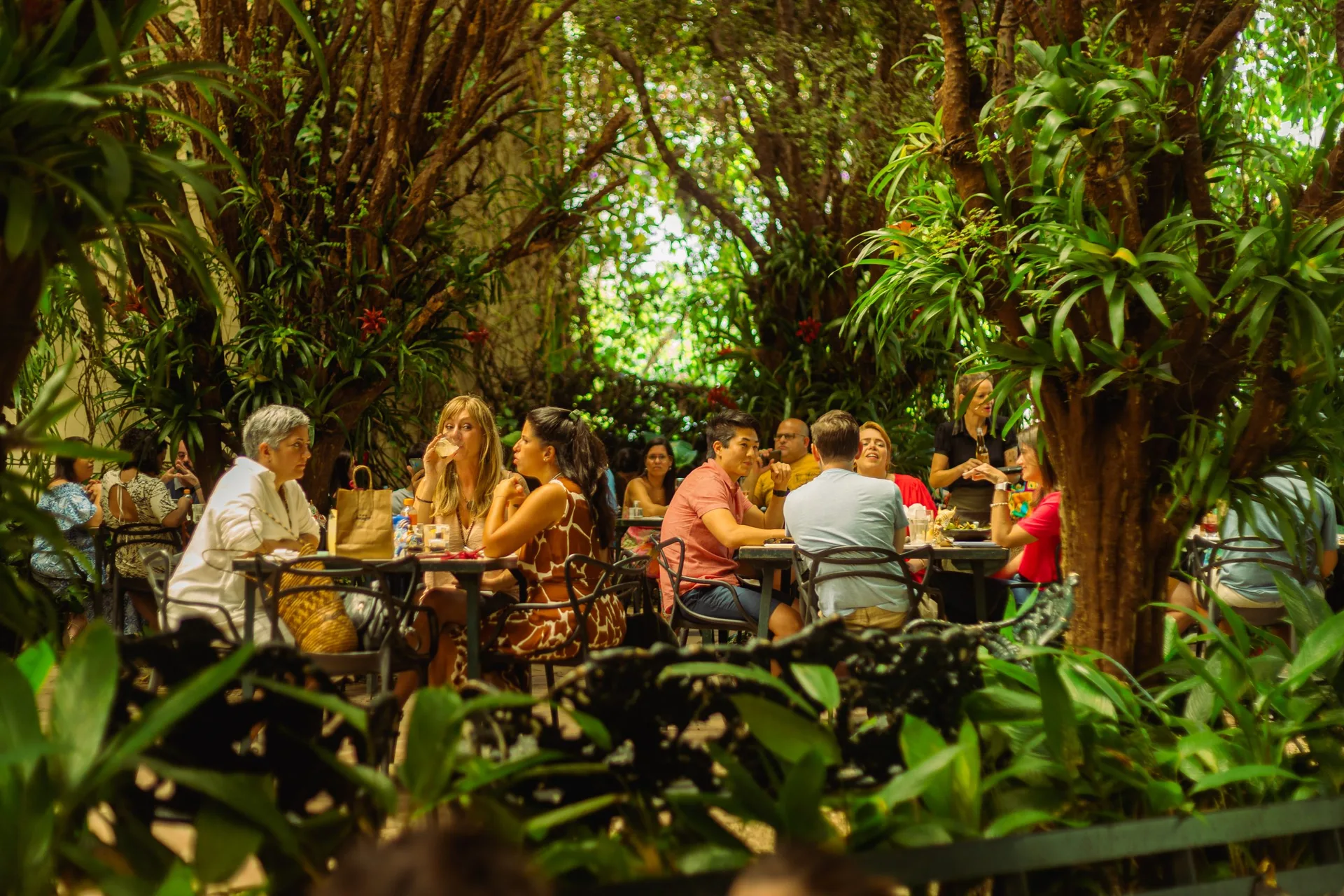 AMA.ZO Campos Elíseos — photo 4