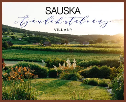 Sauska 48 — photo 10