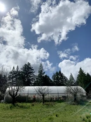 Barndiva — photo 45