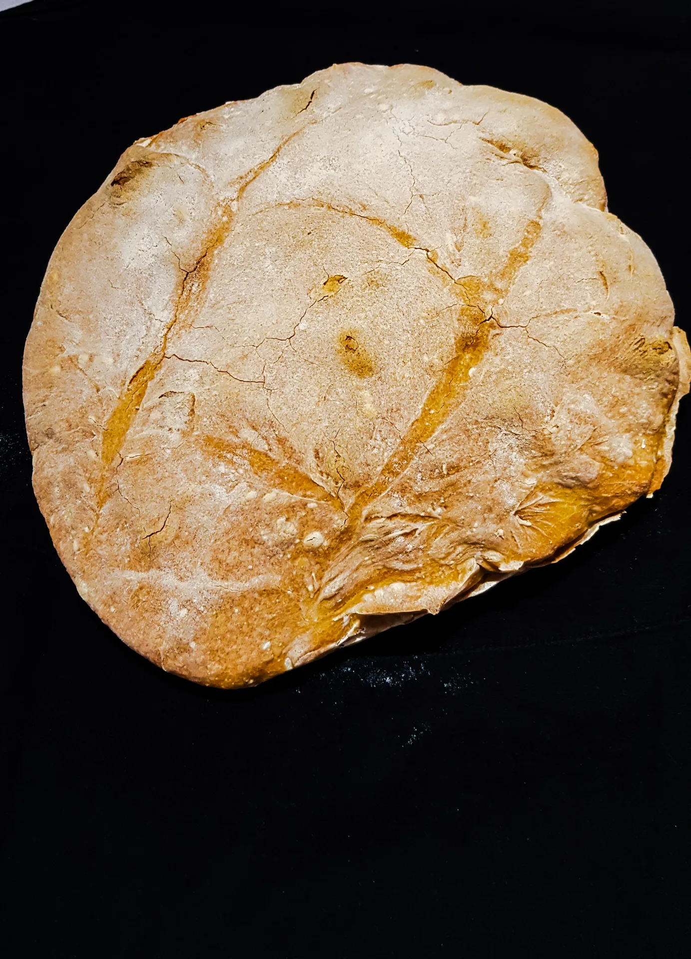 Pane & Olio — photo 62