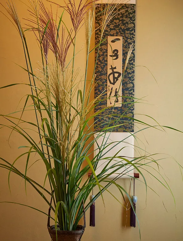 Isshisoden Nakamura — photo 12