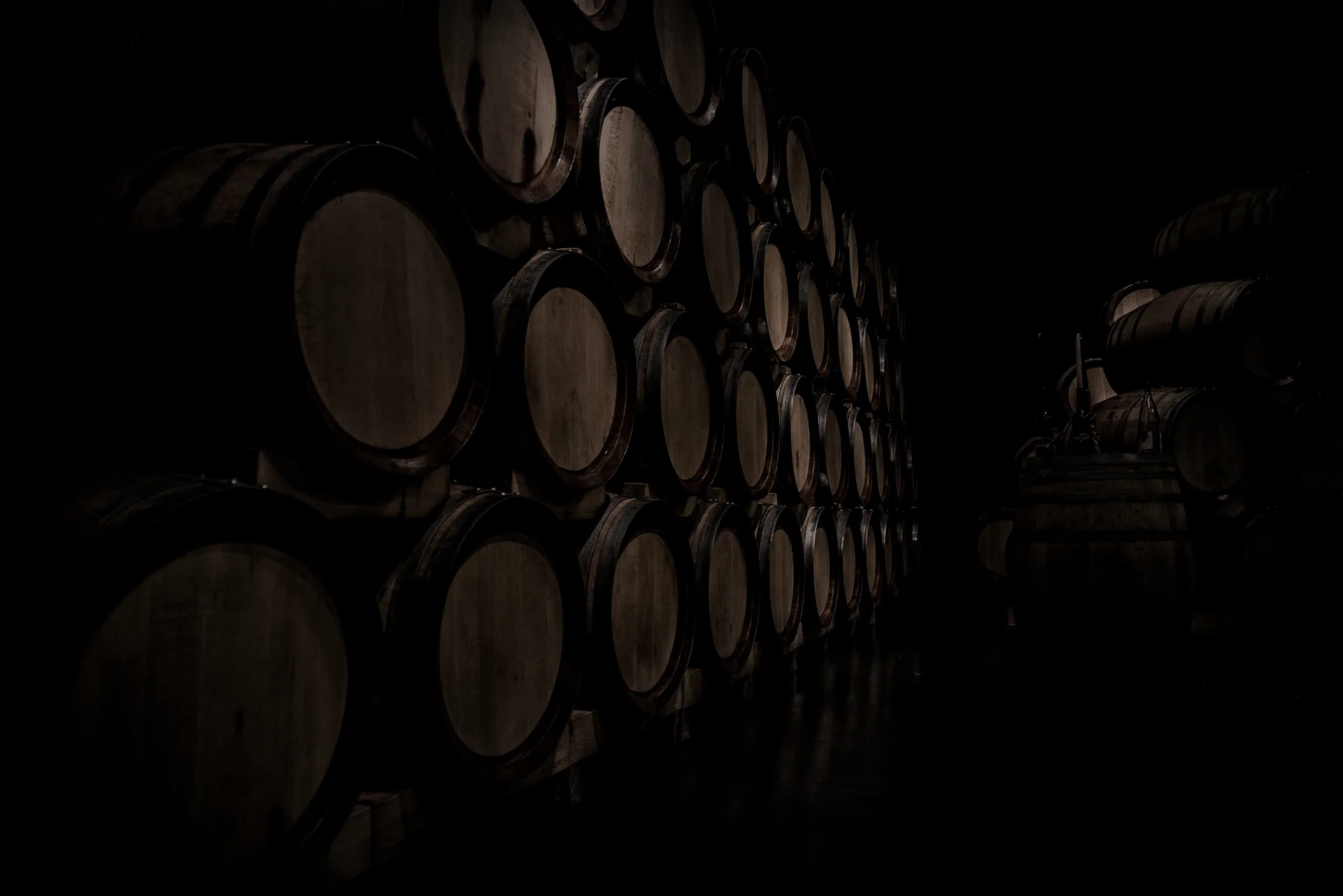 Mermaid Winery — photo 37