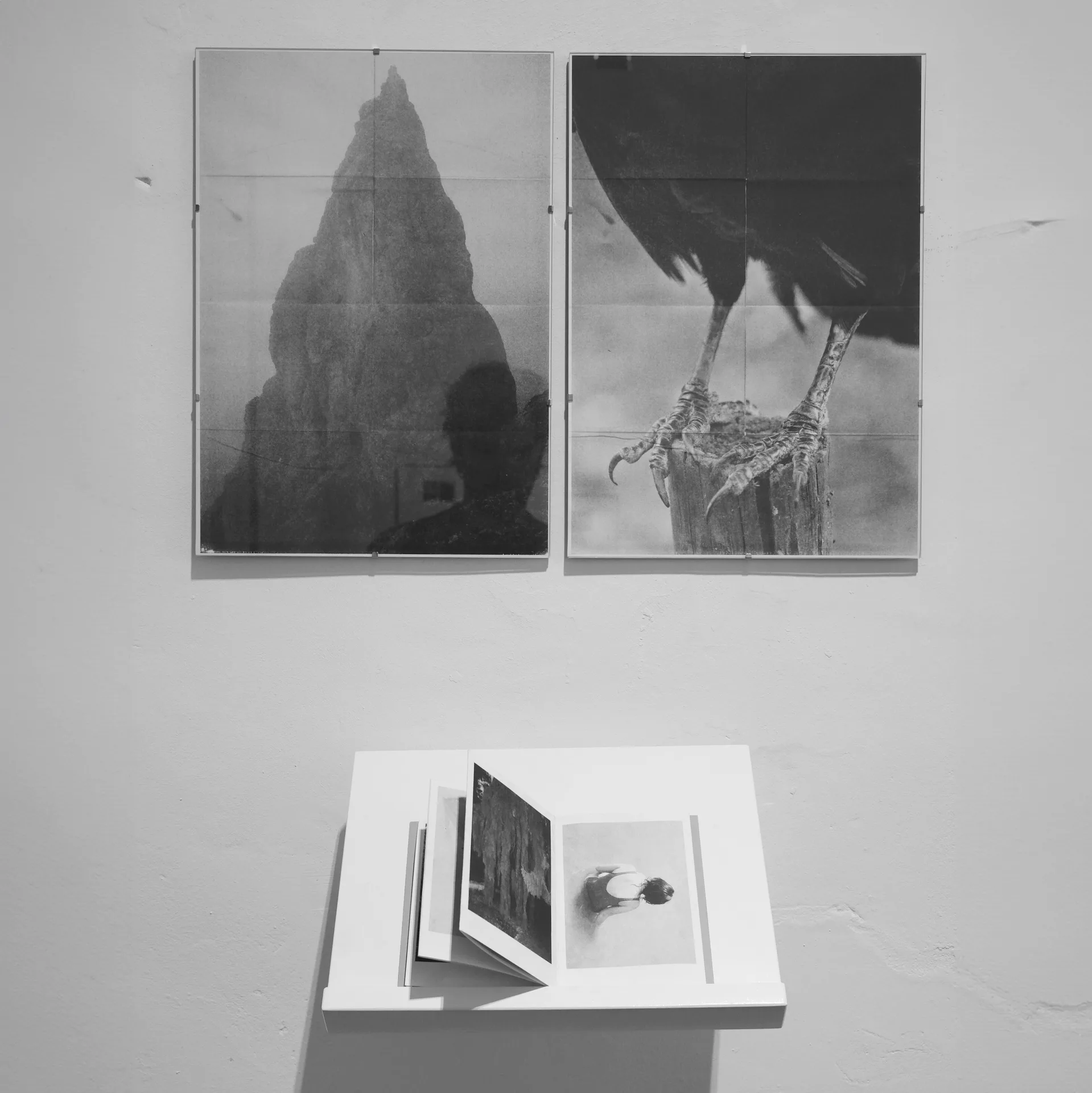 Studio Cluster — photo 34
