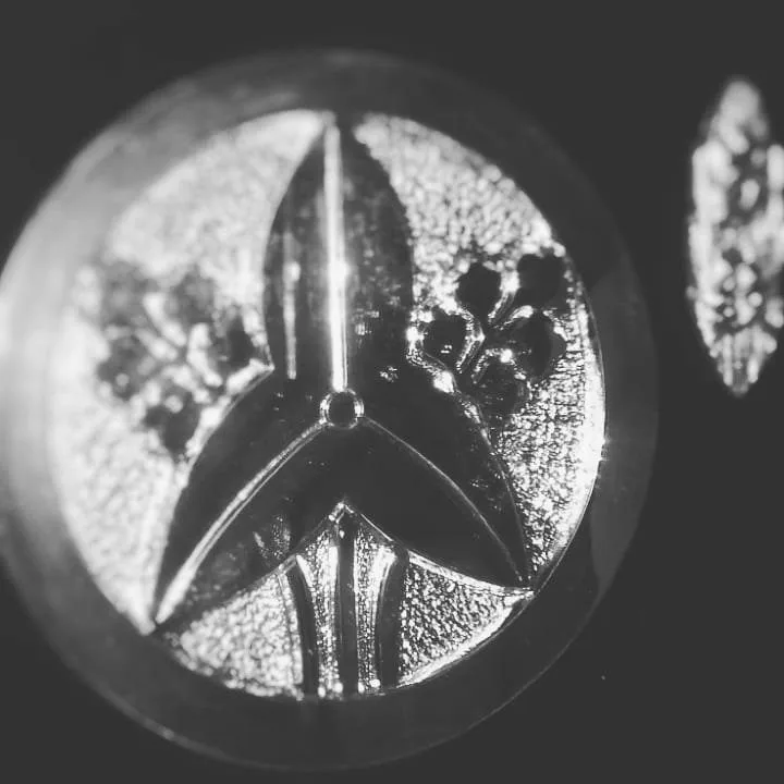 Da terra — photo 15