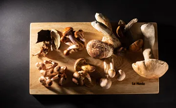 Le Musée — photo 75
