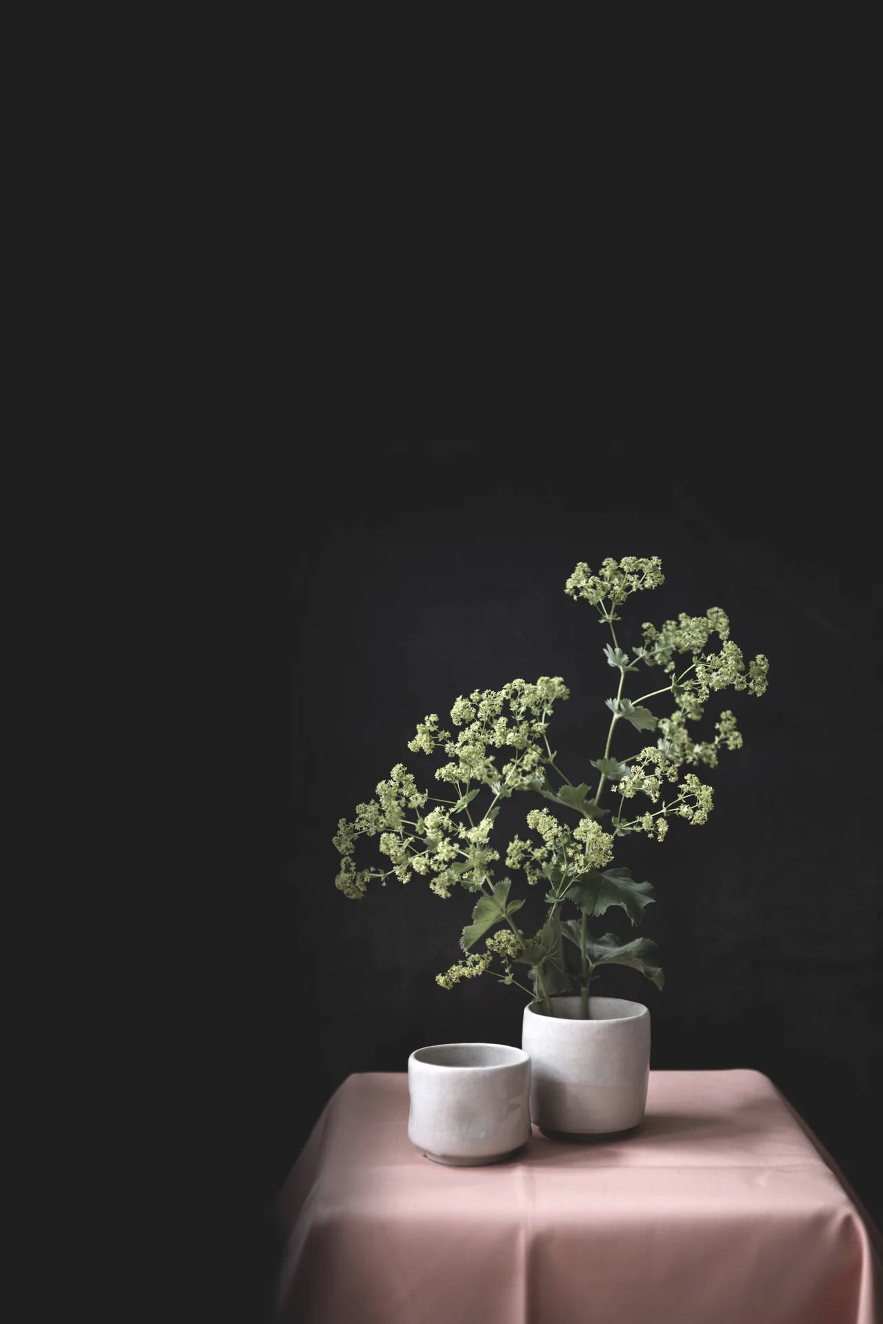 Humus x Hortense — food