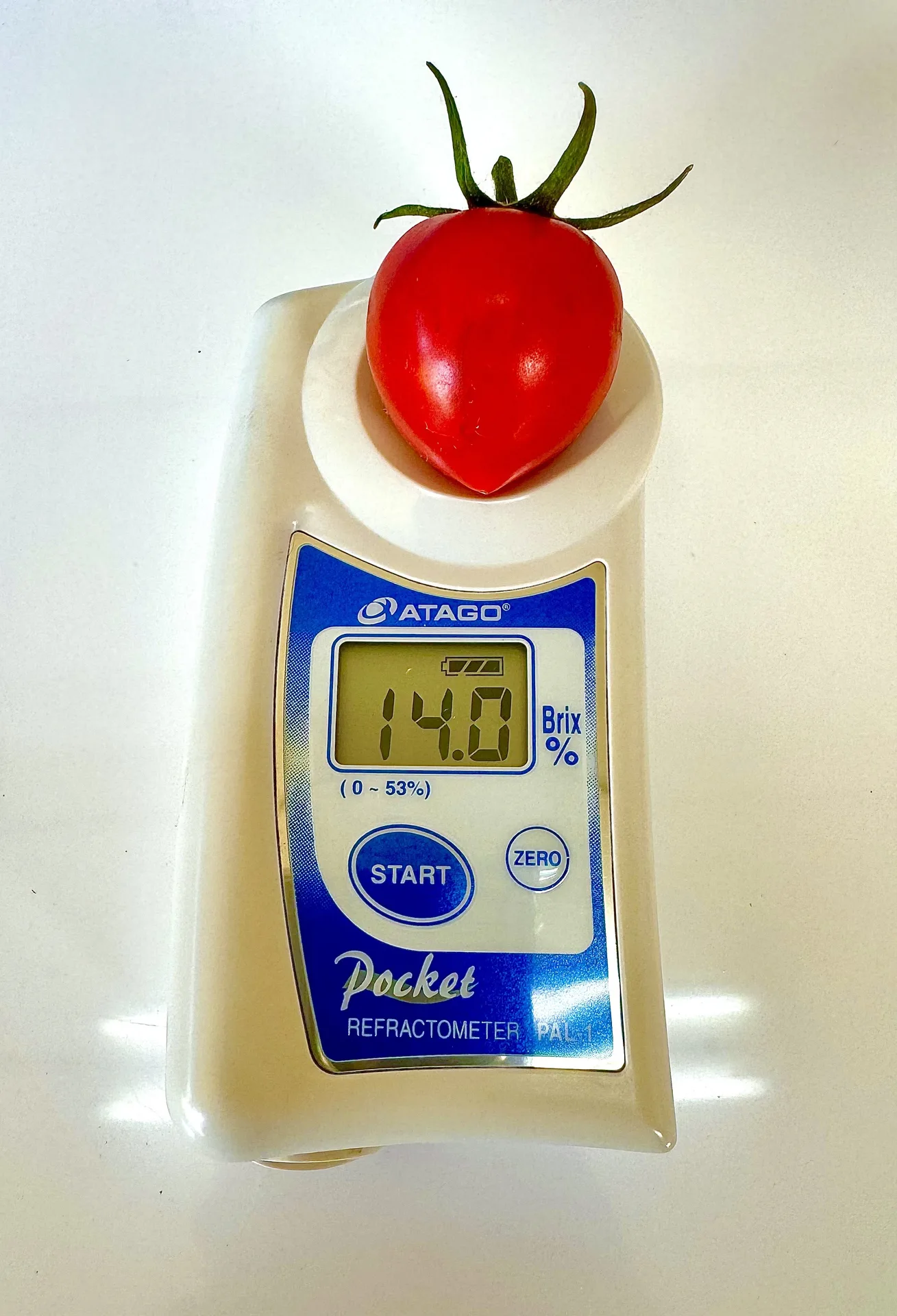 Çava.K. — photo 49