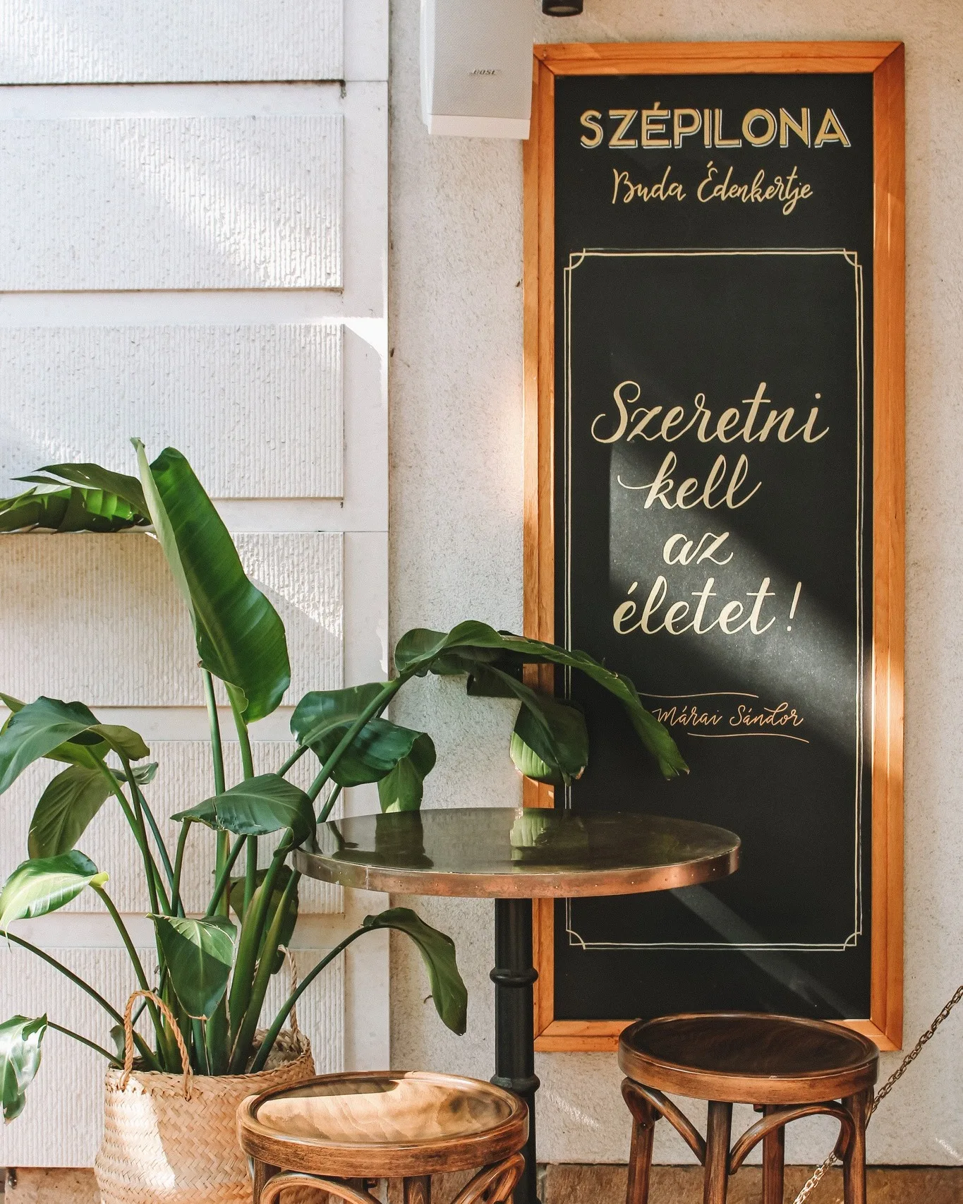 Szépilona Bisztró — photo 26