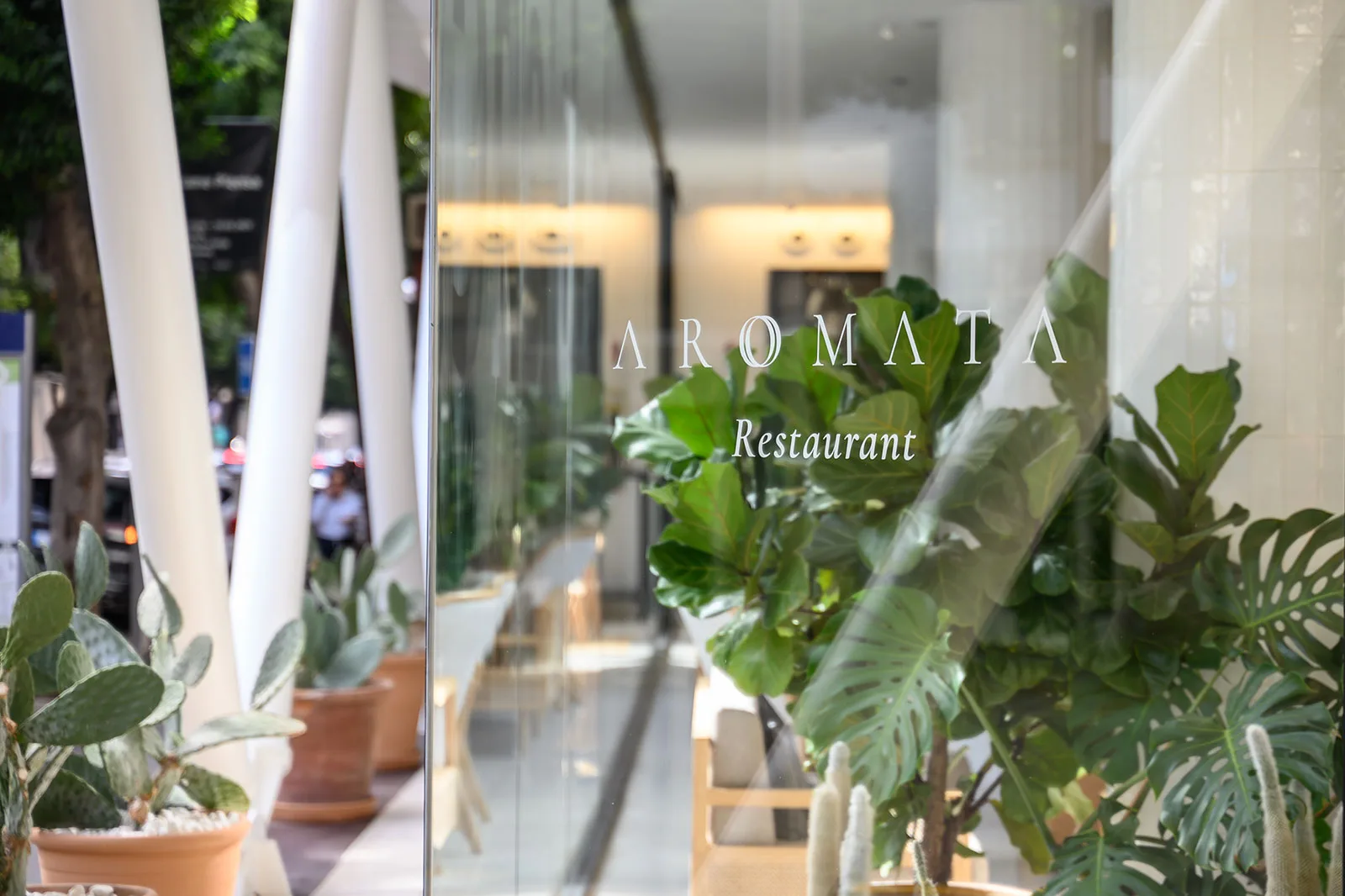 Aromata — photo 18