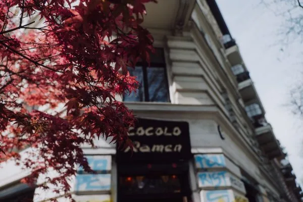 Cocolo Ramen X-berg — photo 4