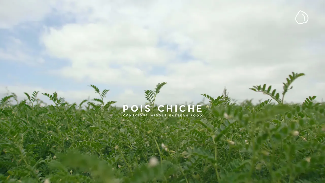 Pois Chiche, Brussels