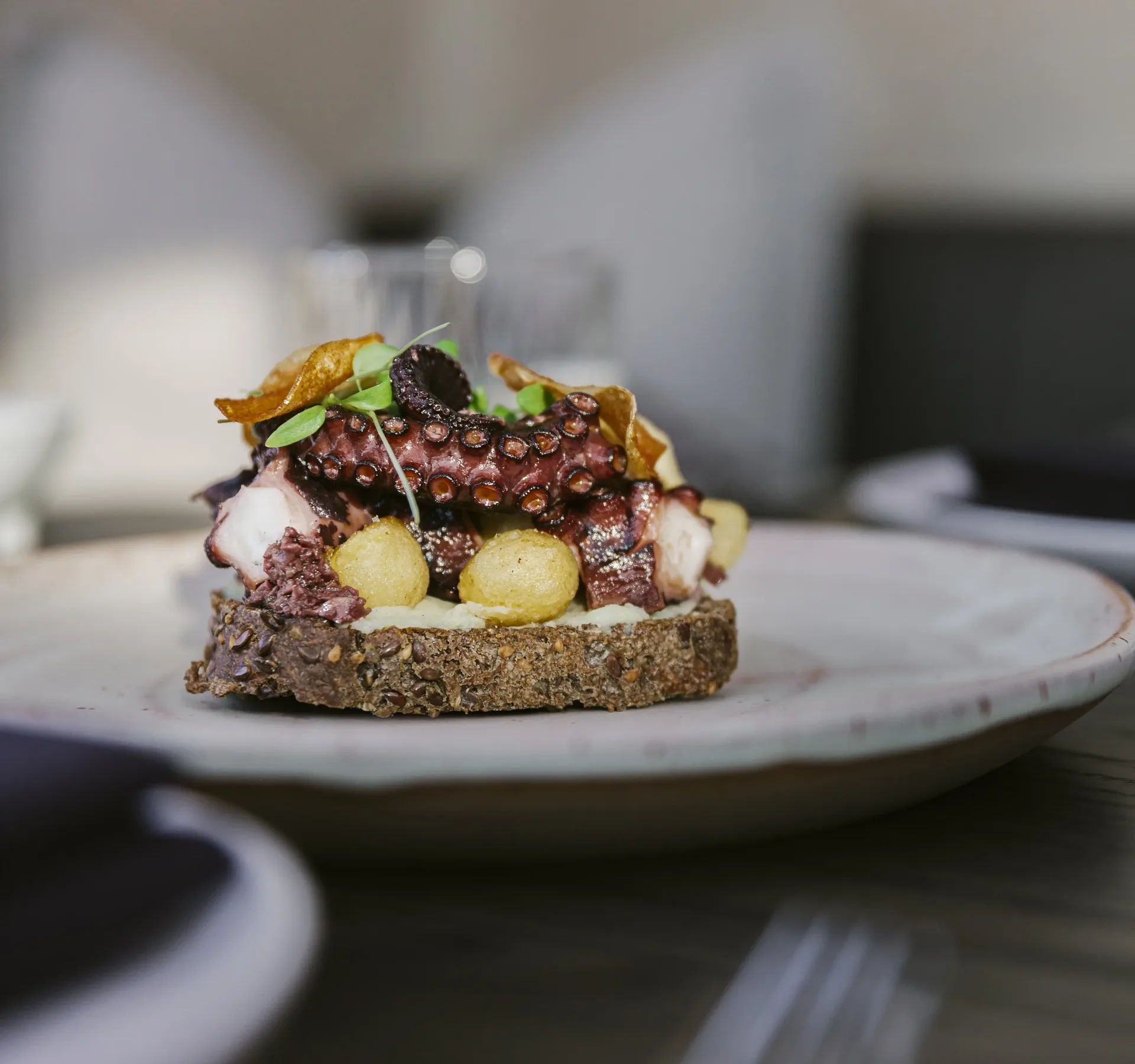 Toast & Oak — photo 27
