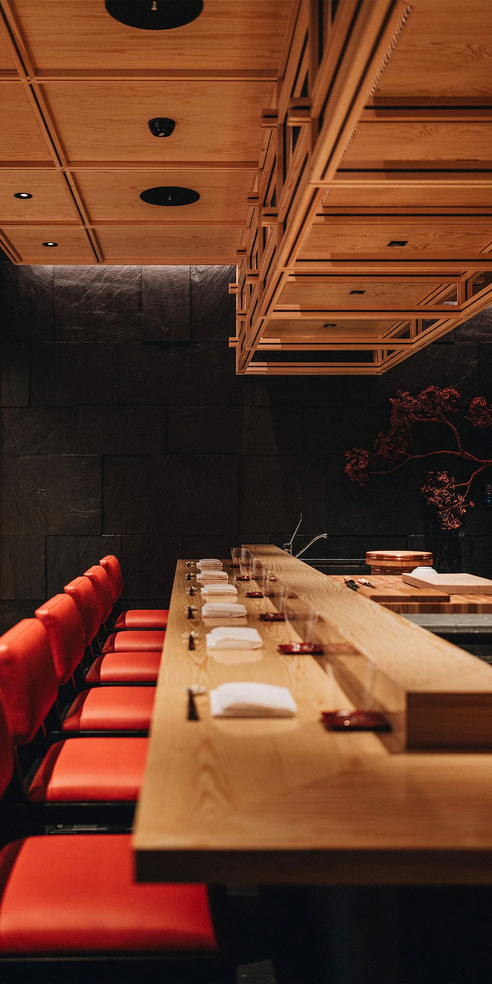 Koyo — photo 7