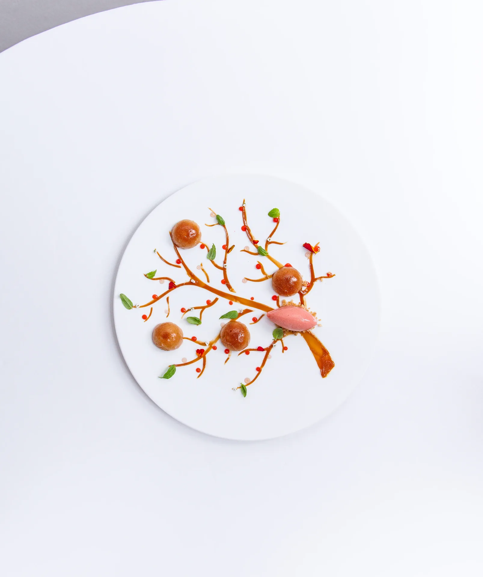 Sine by Di Pinto — photo 21