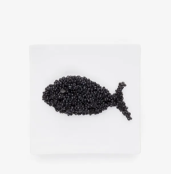 Paneolio — photo 12