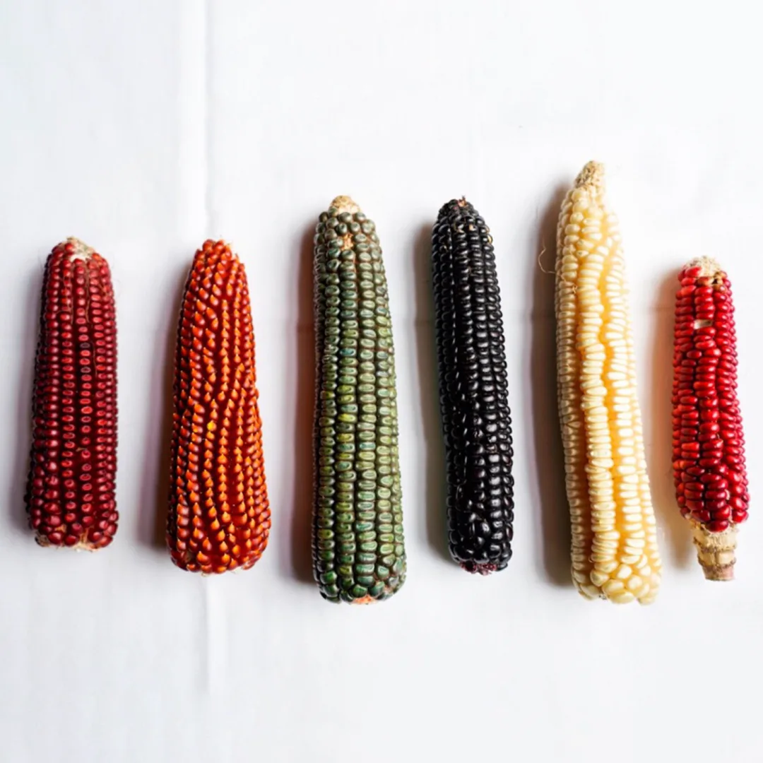 Californios — food