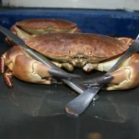 Wheelers Oyster Bar — photo 4