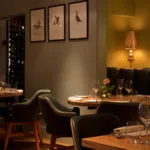 Olive Tree — photo 4