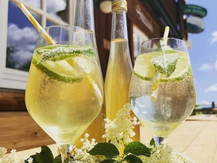Gasthaus zum Strauß — drink